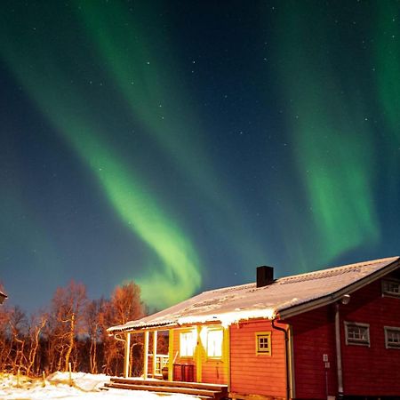 Trivelig Hytte I Senja. Bagian luar foto