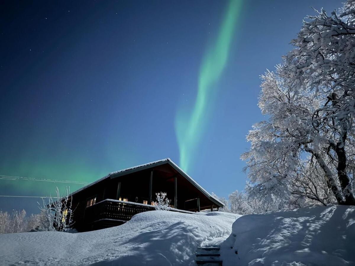 Trivelig Hytte I Senja. Bagian luar foto