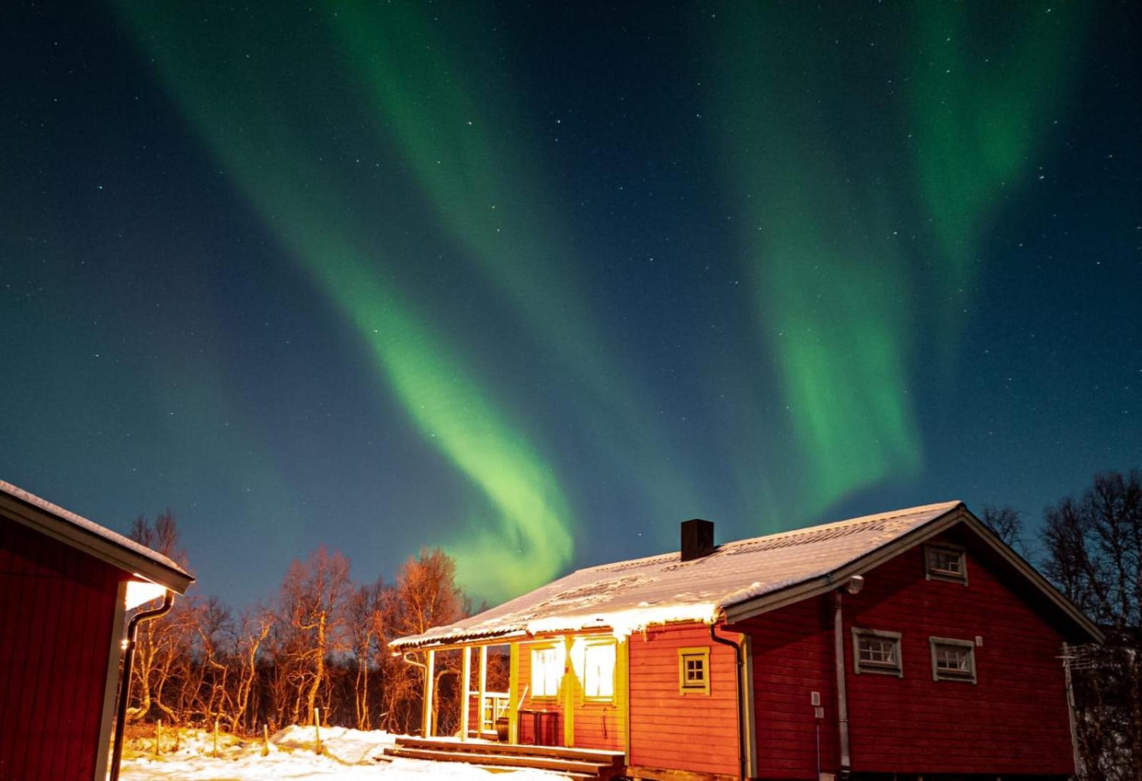 Trivelig Hytte I Senja. Bagian luar foto