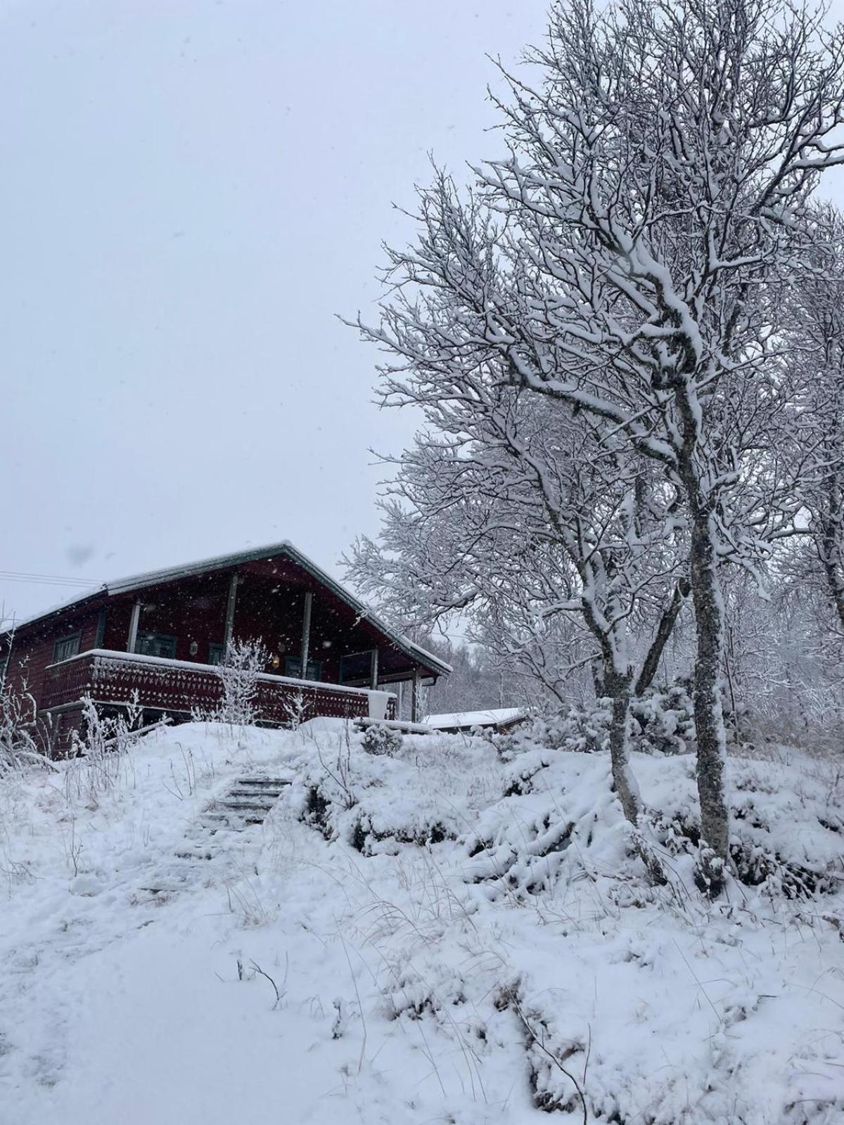 Trivelig Hytte I Senja. Bagian luar foto